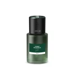 خوشبوکننده خودرو گرین لاین Forest Diffuser 130ml مدل GNFORDIF130GN