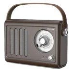 اسپیکر رادیویی کلاسیک گرین لاین مدل Vintage Radio Speaker GNVINRDSPKBR
