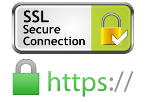 ssl سایت گجت یاب